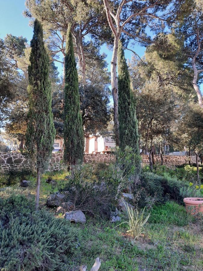 Perla Apartment Biograd Na Moru Bagian luar foto